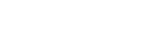Angela Barreto