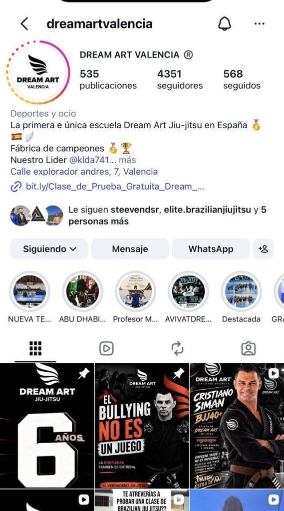 Perfil de Instagram de Dream Art Valencia con su cuadrícula de publicaciones