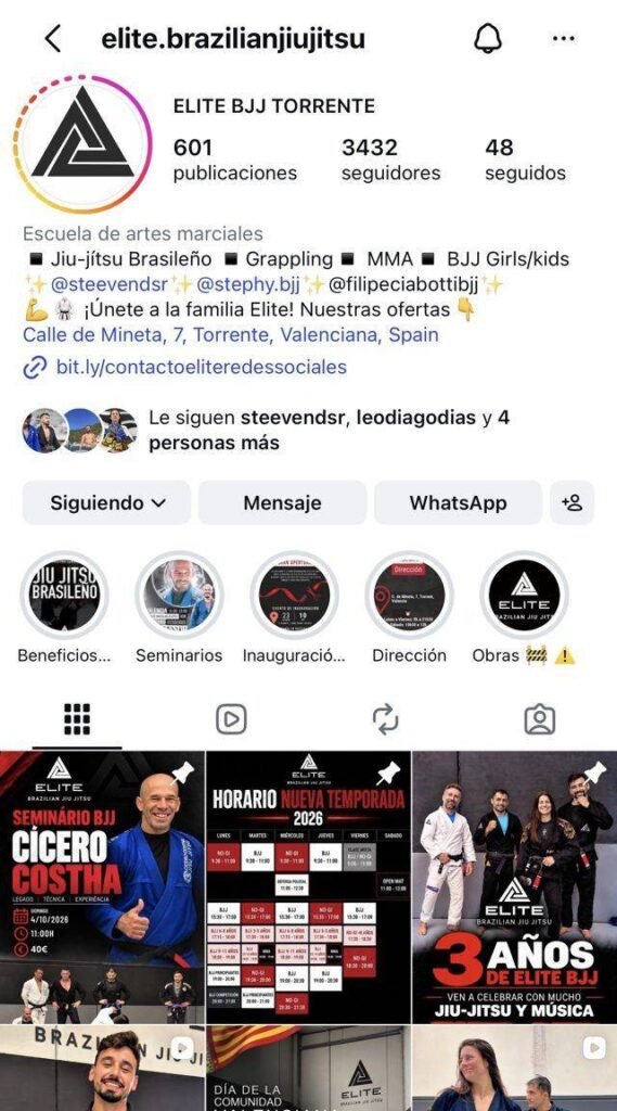 Perfil de Instagram de Elite BJJ Torrente con su cuadrícula de publicaciones