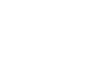 Logotipo de Budding Bloom